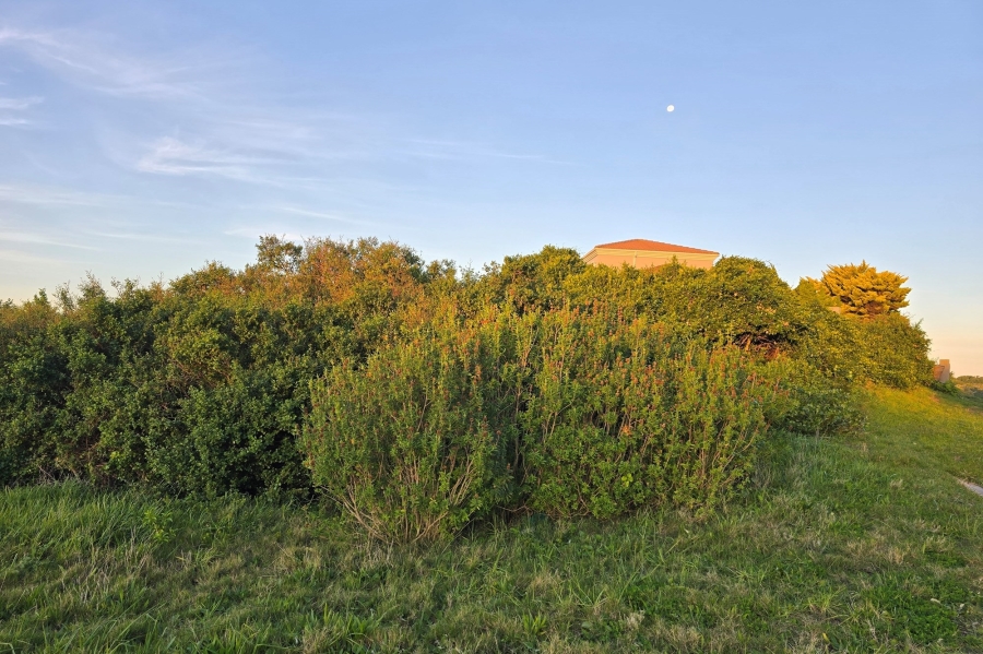 0 Bedroom Property for Sale in St Francis On Sea Eastern Cape